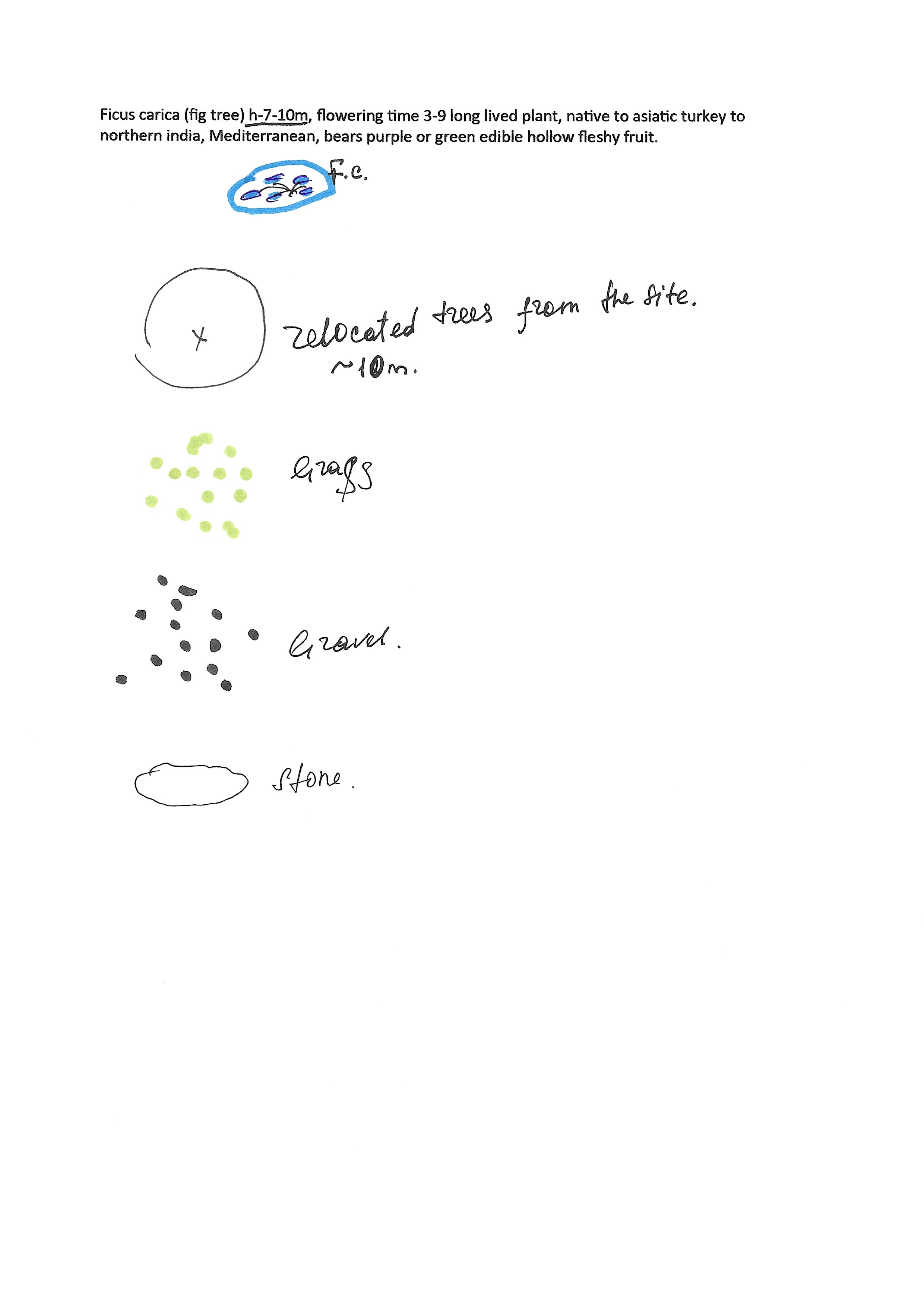 Plants 2