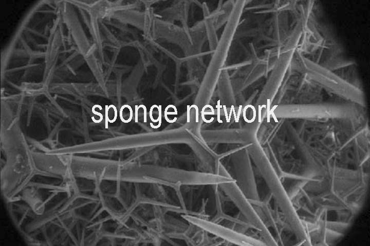 Sponge Network cover